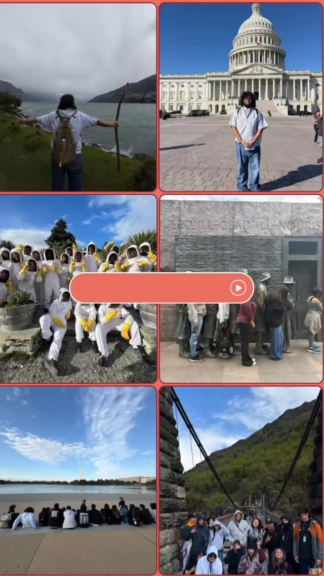 Instagram post 18083519468317035